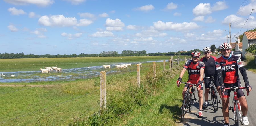 Amitiés et découverte