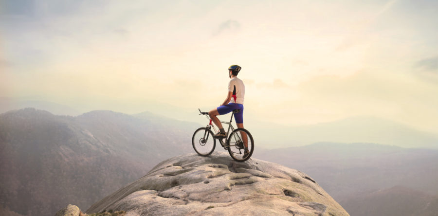 Suspendisse Sollicitudin Velit