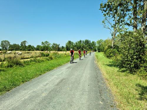 2021 07 17 Vélo pour tous (13)